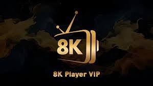 8K Player